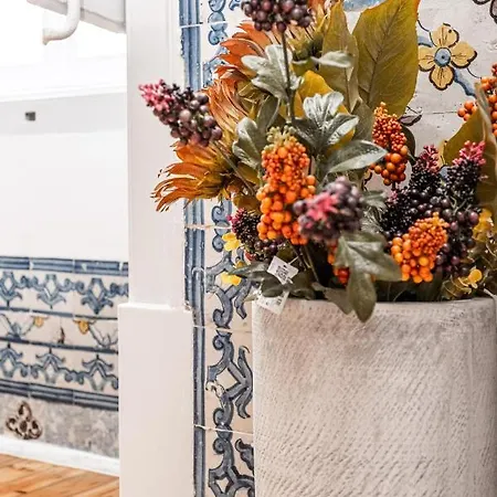 Nomad's Padaria Collection